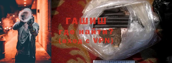 спиды Болотное
