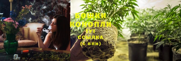 спиды Болотное