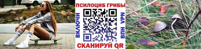 Купить  Гагарин  Галлюциногенные грибы GOLDEN TEACHER 